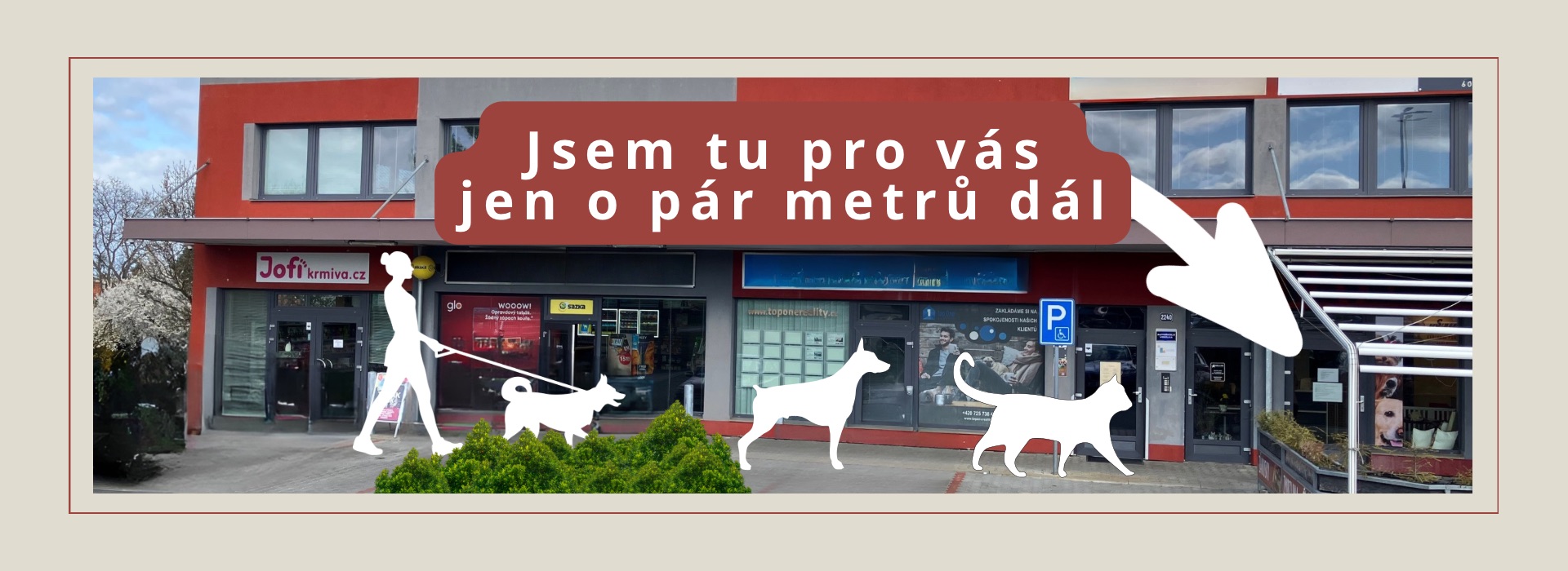 Péče o psy a kočky